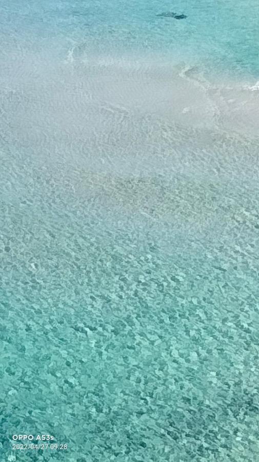 Apartament Acquario Lido Marini Zewnętrze zdjęcie